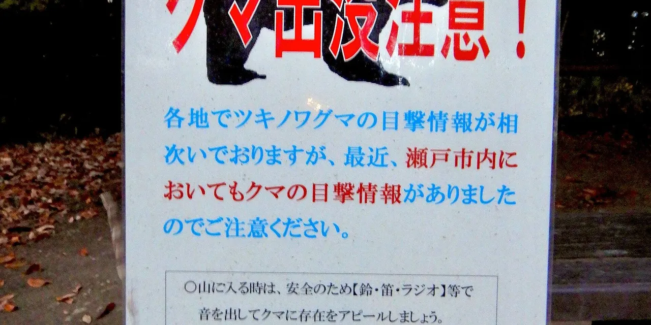 クマは山にいるもの——「入っているのは人間」の自覚と、日本と海外の“事案の質”の違い